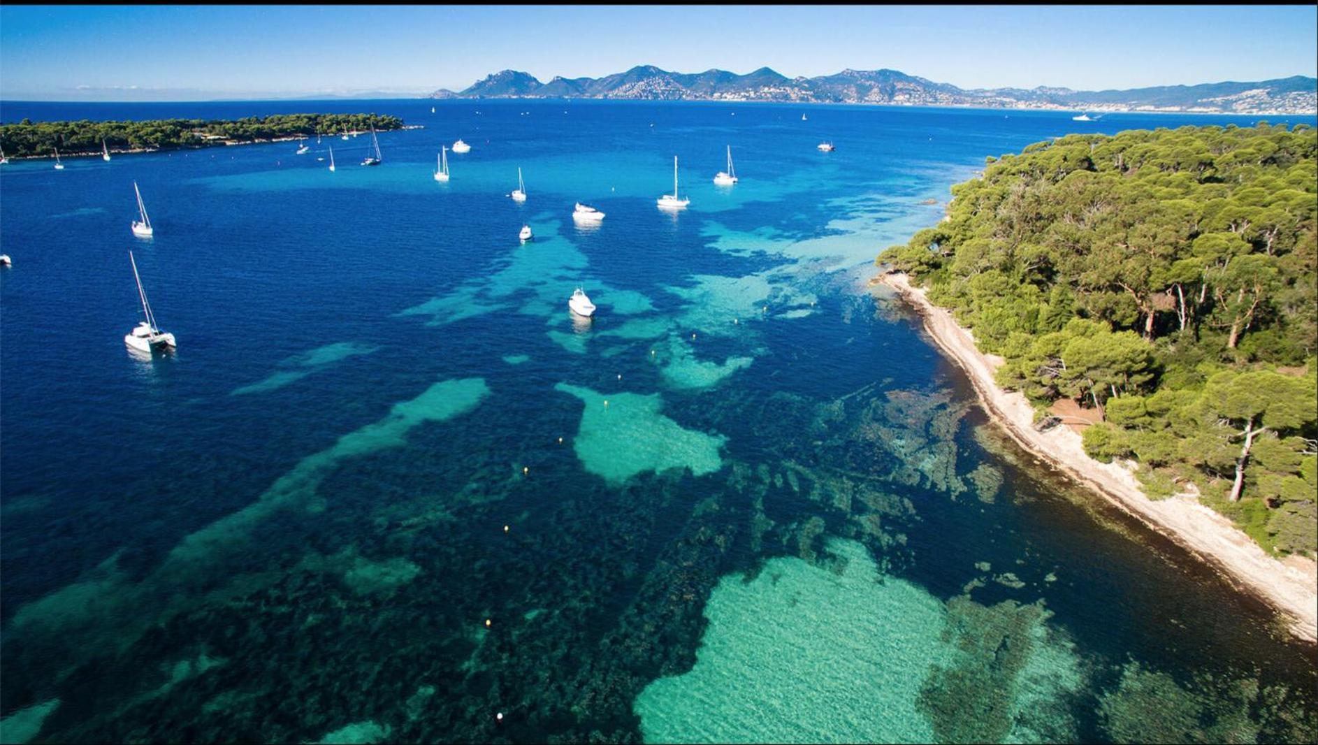 Le Bristol Apartment Cannes Luaran gambar